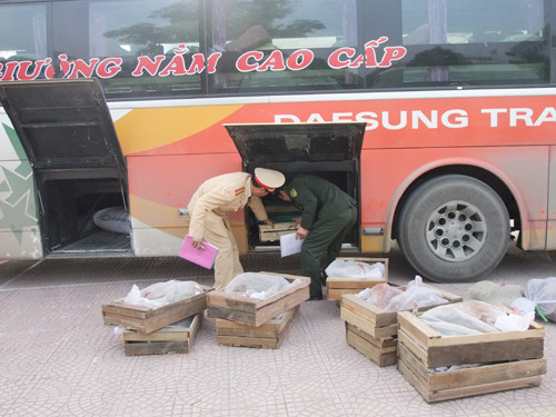Số động vật hoang dã vận chuyển trên xe ô tô chở khách 36M – 3089 bị lực lượng Cảnh sát giao thông (Công an Thanh Hóa) phát hiện, bắt giữ. Ảnh: Công an Thanh Hóa cung cấp