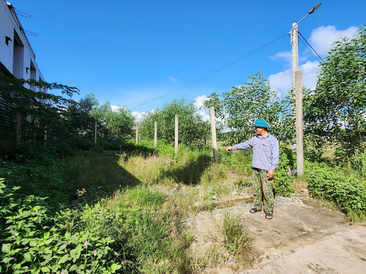 Mảnh đất TĐC của ông Nguyễn Hướng bỏ hoang, chưa được cấp “sổ đỏ” Mảnh đất TĐC của ông Nguyễn Hướng bỏ hoang, chưa được cấp “sổ đỏ”