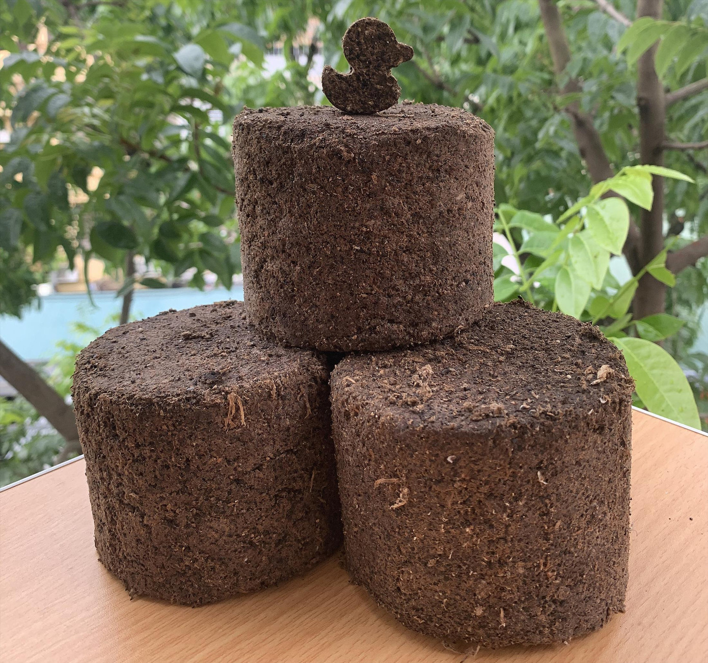 Viên nén sinh khối từ bã cà phê được thiết kế ngộ nghĩnh, đáng yêu Viên nén sinh khối từ bã cà phê được thiết kế ngộ nghĩnh, đáng yêu