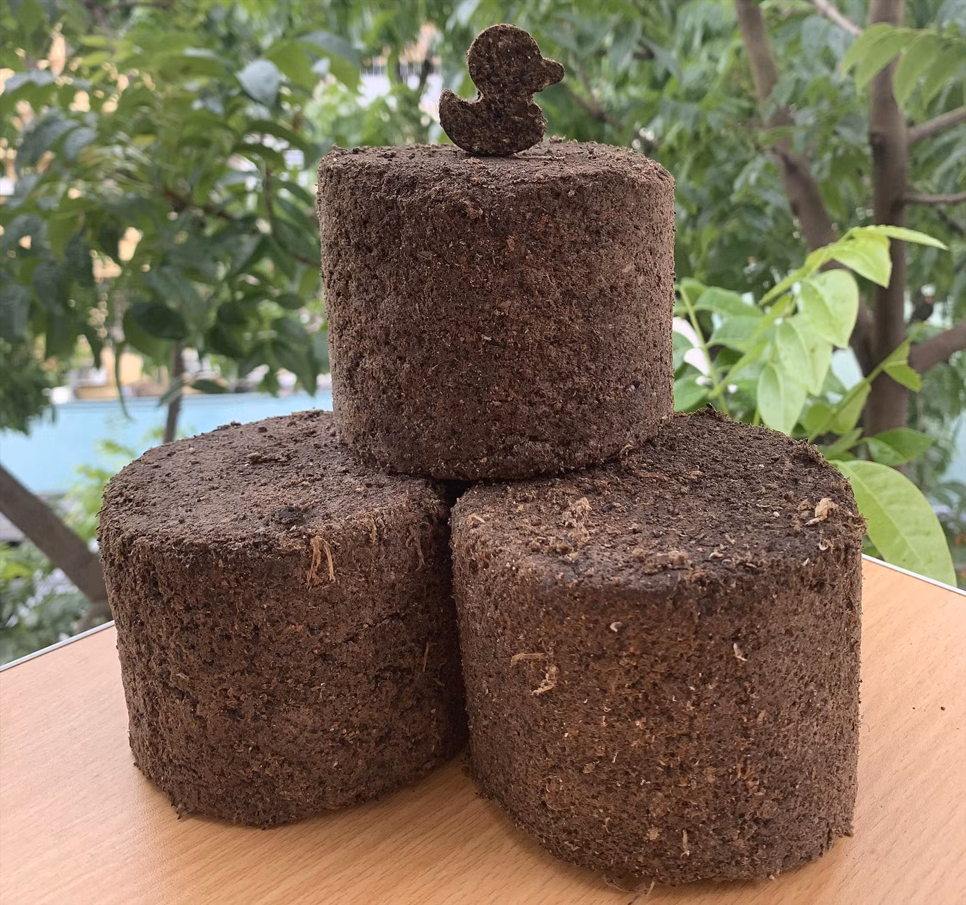 Viên nén sinh khối từ bã cà phê được thiết kế ngộ nghĩnh, đáng yêu Viên nén sinh khối từ bã cà phê được thiết kế ngộ nghĩnh, đáng yêu