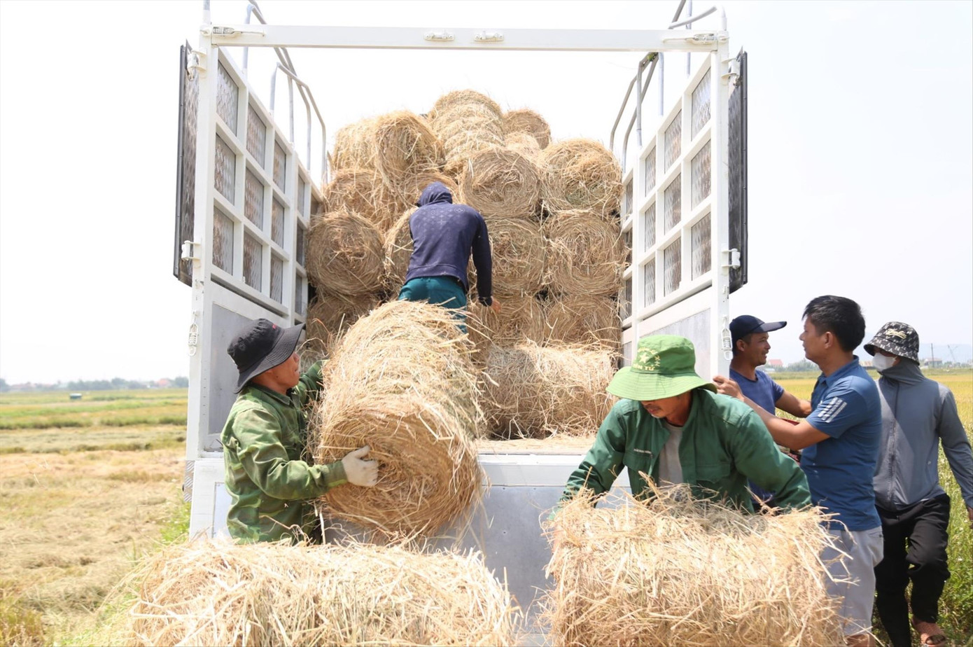 Chiếc máy gom rơm giúp giải phóng sức người, tăng năng suất lao động Chiếc máy gom rơm giúp giải phóng sức người, tăng năng suất lao động