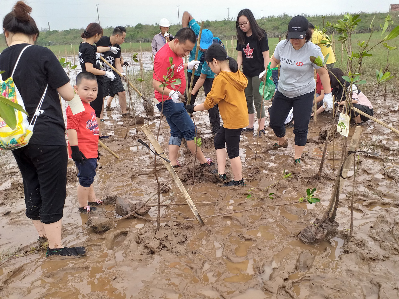 Du lịch sinh thái trong VQG Xuân Thủy Du lịch sinh thái trong VQG Xuân Thủy