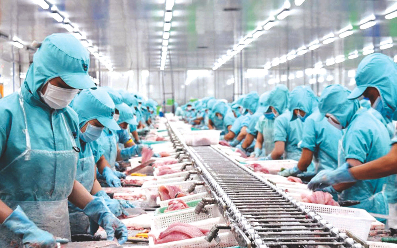 Sau khi lập kỷ lục gần 11 tỷ USD, xuất khẩu thủy sản đang lao dốc. Ảnh: ANV Sau khi lập kỷ lục gần 11 tỷ USD, xuất khẩu thủy sản đang lao dốc. Ảnh: ANV