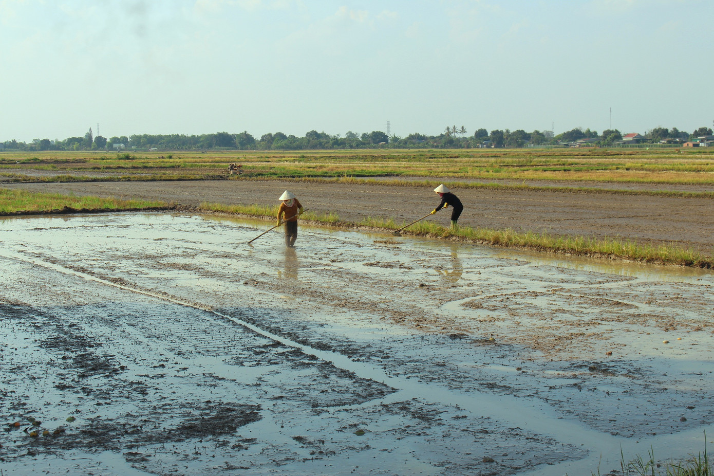 Người dân làm đất để chuẩn bị gieo lúa.