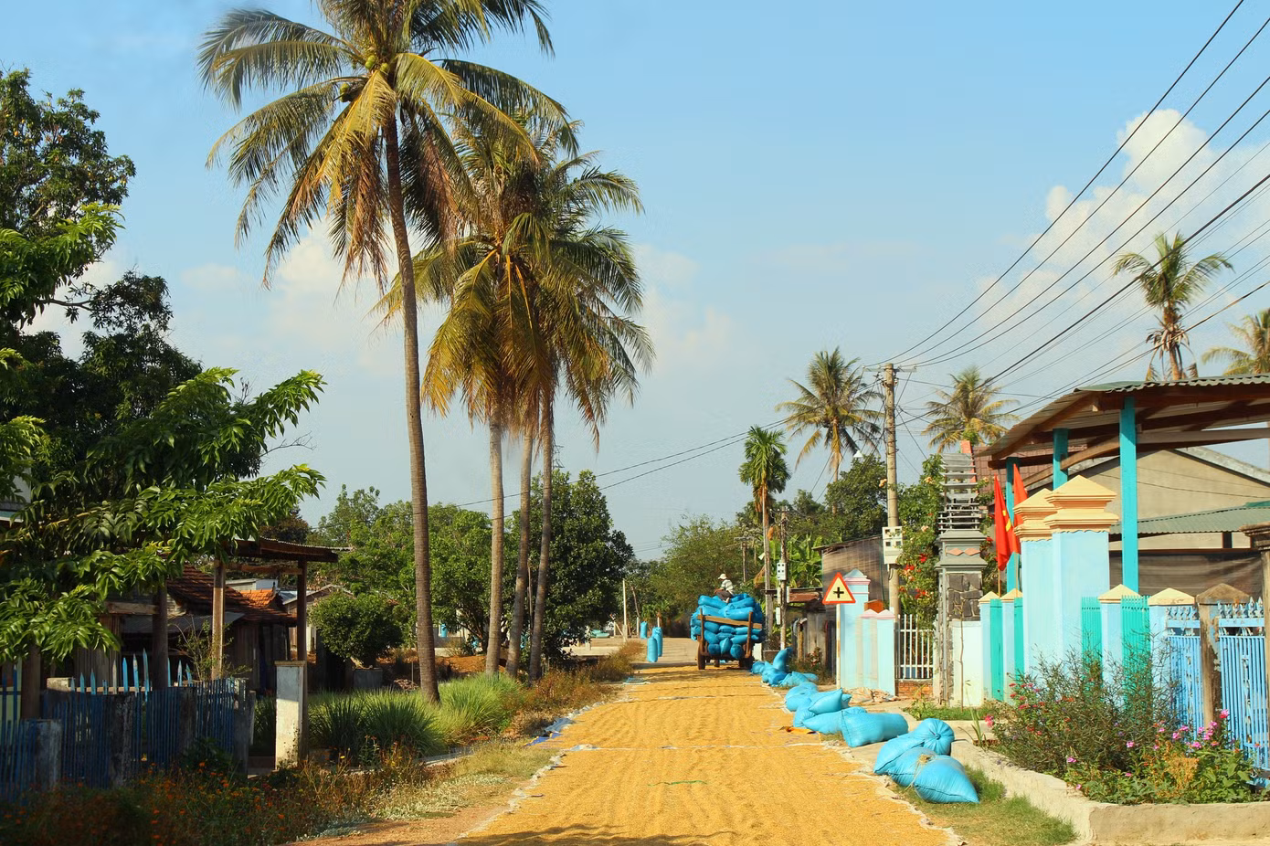 Con đường vào buôn chạy dọc ra cánh đồng lúa. Con đường vào buôn chạy dọc ra cánh đồng lúa.