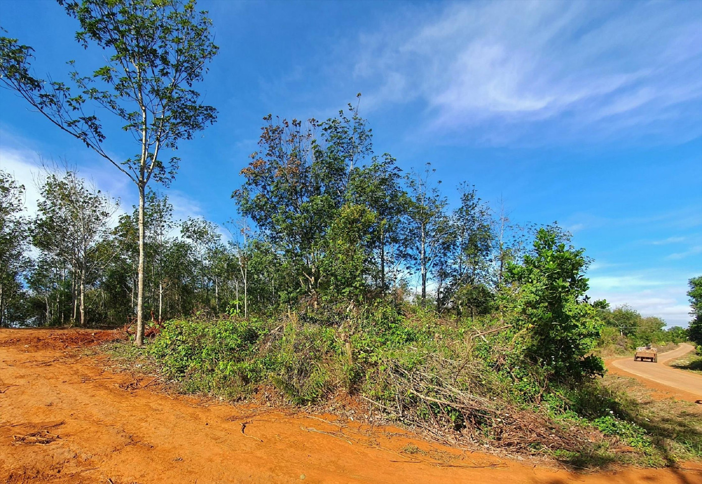 Một phần diện tích do Cty TNHH MTV Lâm nghiệp Nam Tây Nguyên quản lý Một phần diện tích do Cty TNHH MTV Lâm nghiệp Nam Tây Nguyên quản lý