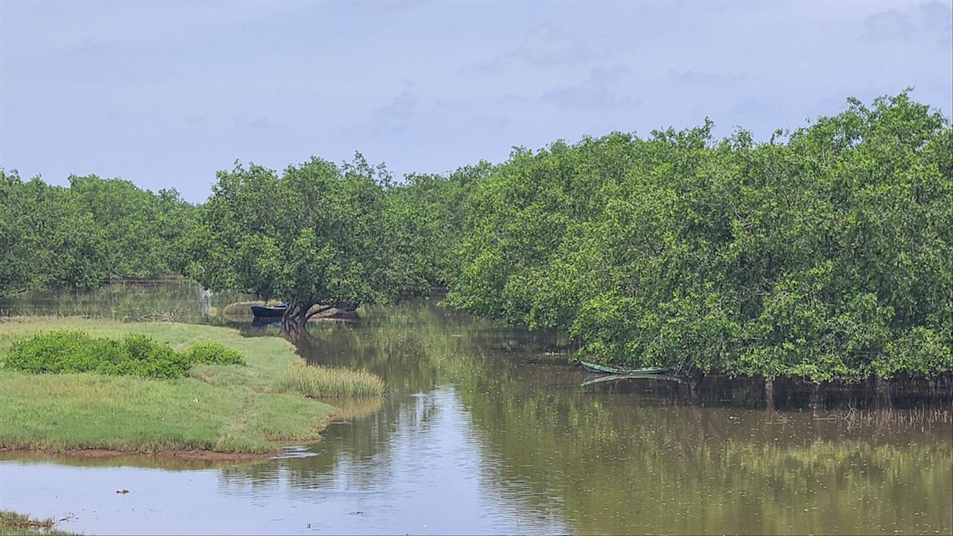 Cần hiểu đúng khái niệm về khu bảo tồn thiên nhiên đất ngập nước để quy hoạch Khu bảo tồn Tiền Hải duy trì được vai trò, chức năng sau khi rà soát quy mô diện tích. Ảnh: Trường Hùng