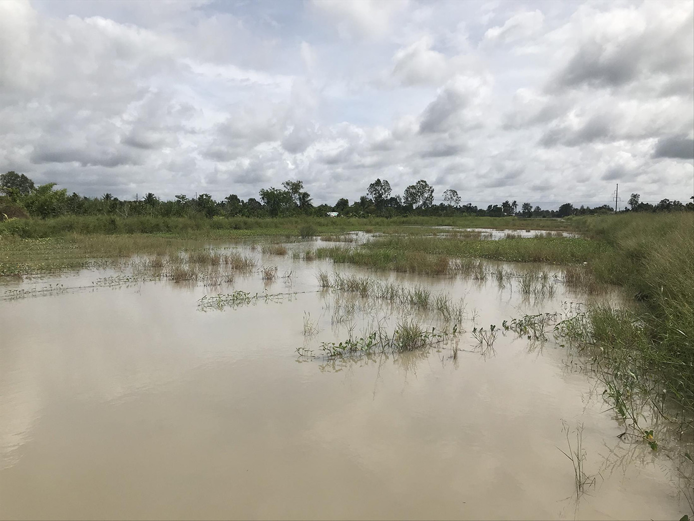 Khuôn đường cao tốc Cần Thơ - Cà Mau đoạn qua xã Long Thạnh, huyện Phụng Hiệp, tỉnh Hậu Giang nằm chờ cát. Ảnh: Cảnh Kỳ