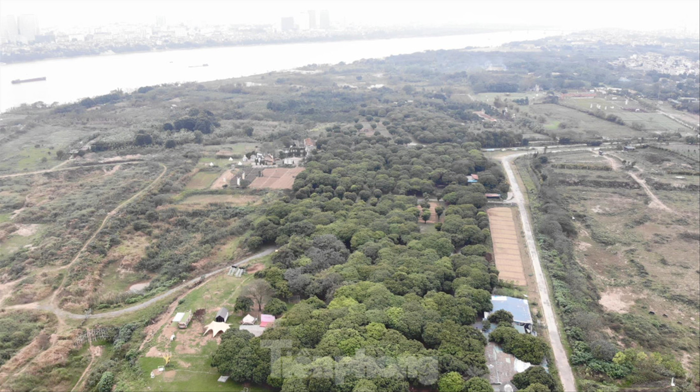 Nhìn từ trên cao, các điểm vui chơi, du lịch bên bờ sông Hồng được chia thành các ô, khoảnh nham nhở