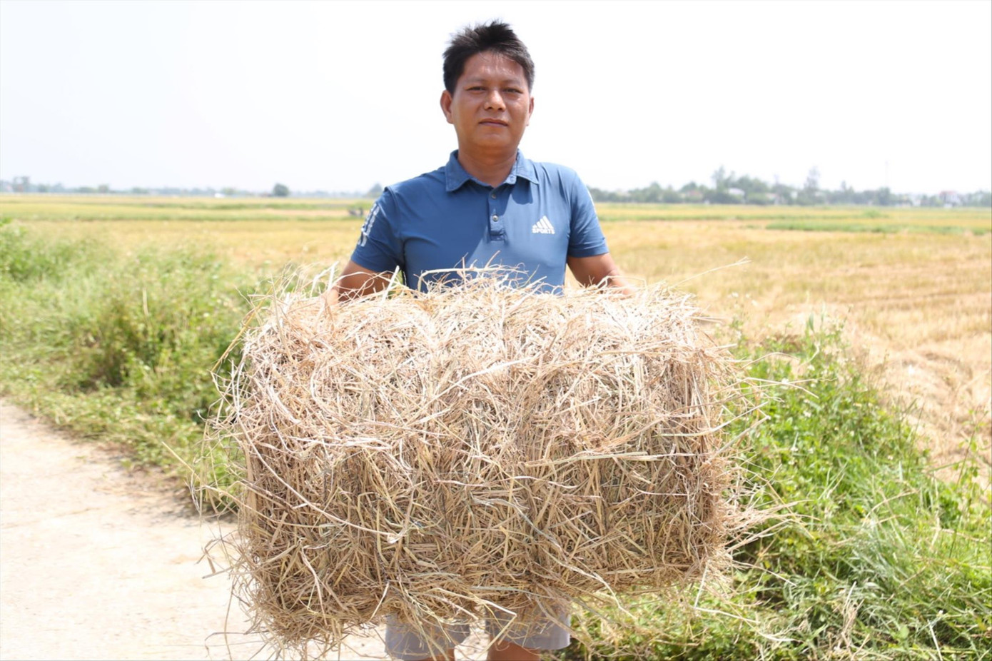 Anh Văn Anh bên bó rơm được cuộn tròn, chắc nịch Anh Văn Anh bên bó rơm được cuộn tròn, chắc nịch