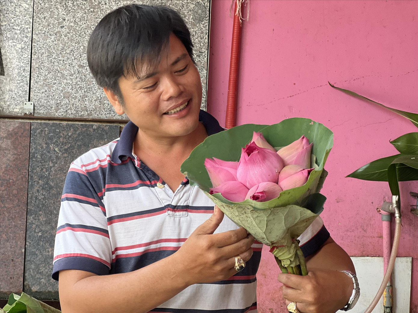 Thử sức qua nhiều nghề, anh Nguyễn Thanh Bình chọn về nhà trồng sen, hái sen mưu sinh