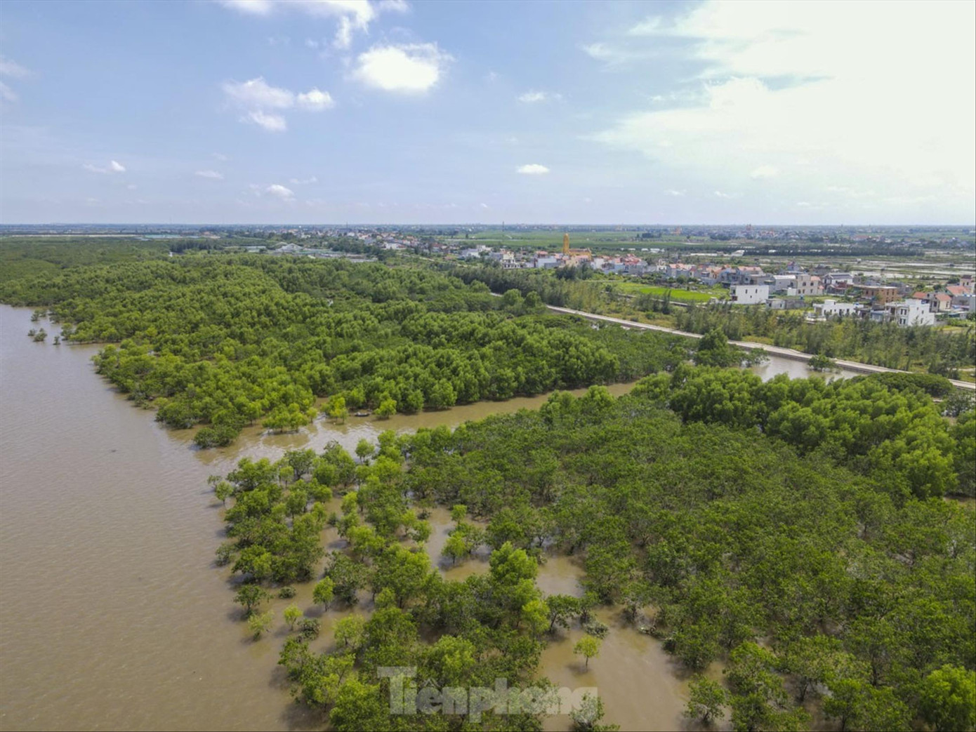 Khu Bảo tồn thiên nhiên đất ngập nước Tiền Hải mà UBND tỉnh Thái Bình đang quy hoạch giảm diện tích Khu Bảo tồn thiên nhiên đất ngập nước Tiền Hải mà UBND tỉnh Thái Bình đang quy hoạch giảm diện tích