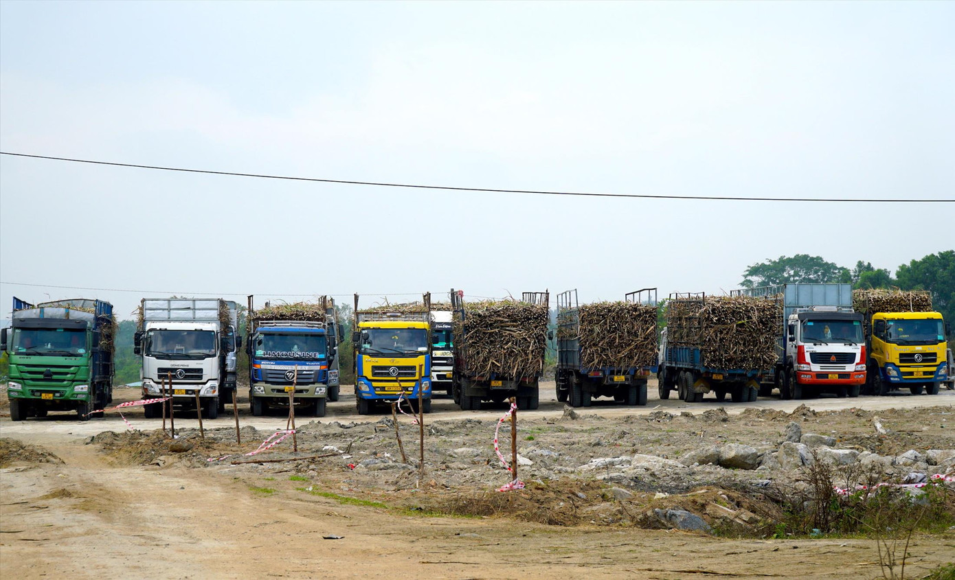 Hàng loạt ô tô quá khổ tập kết ở khuôn viên Nhà máy Đường An Khê