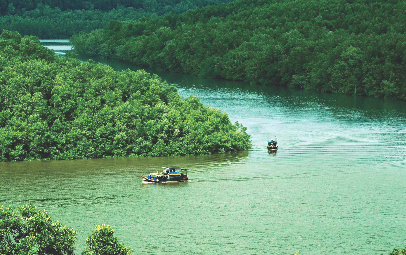 Khu di tích chiến khu rừng Sác