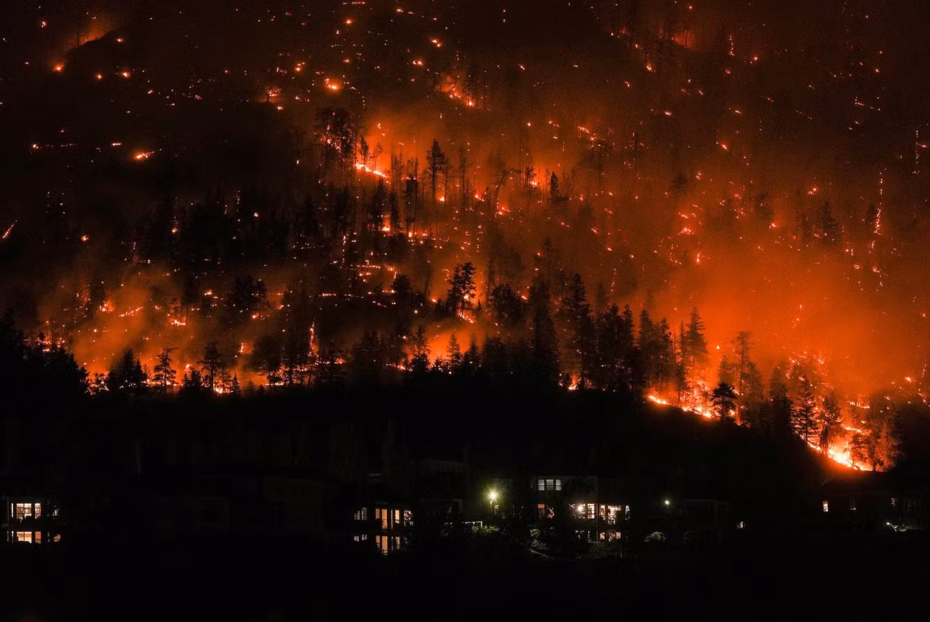 Cháy rừng ở Tây Kelowna, Canada. Ảnh: Darryl Dyck, The Canadian Press/AP
