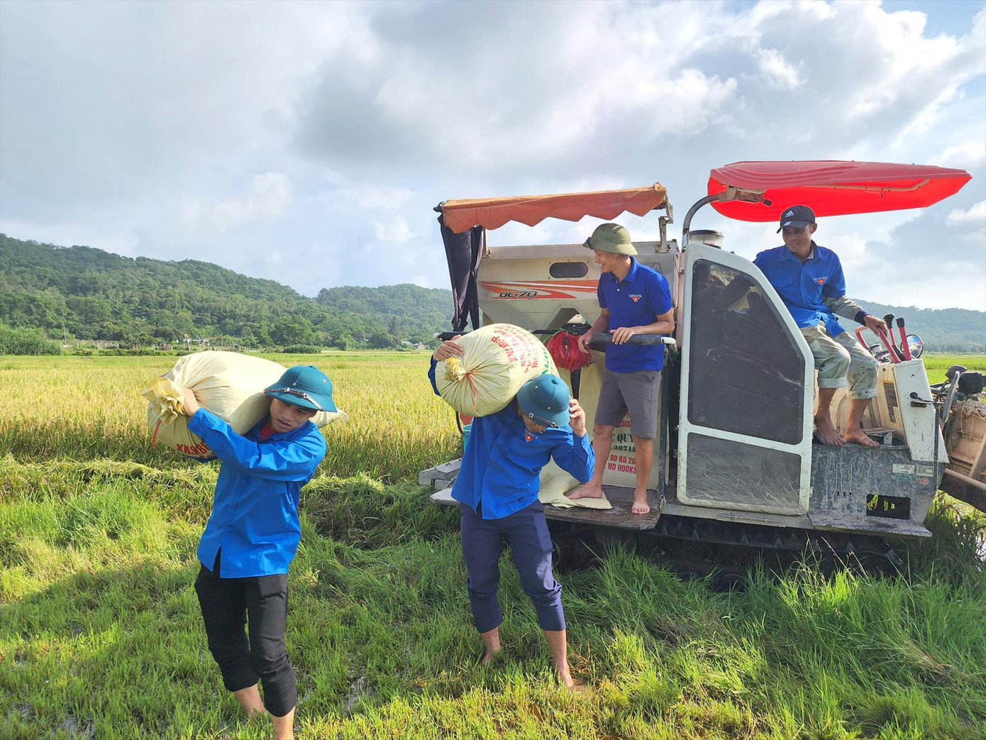 Đoàn viên, thanh niên Đồng Tiến thu hoạch lúa trên &quot;Ruộng lúa cho em&quot;