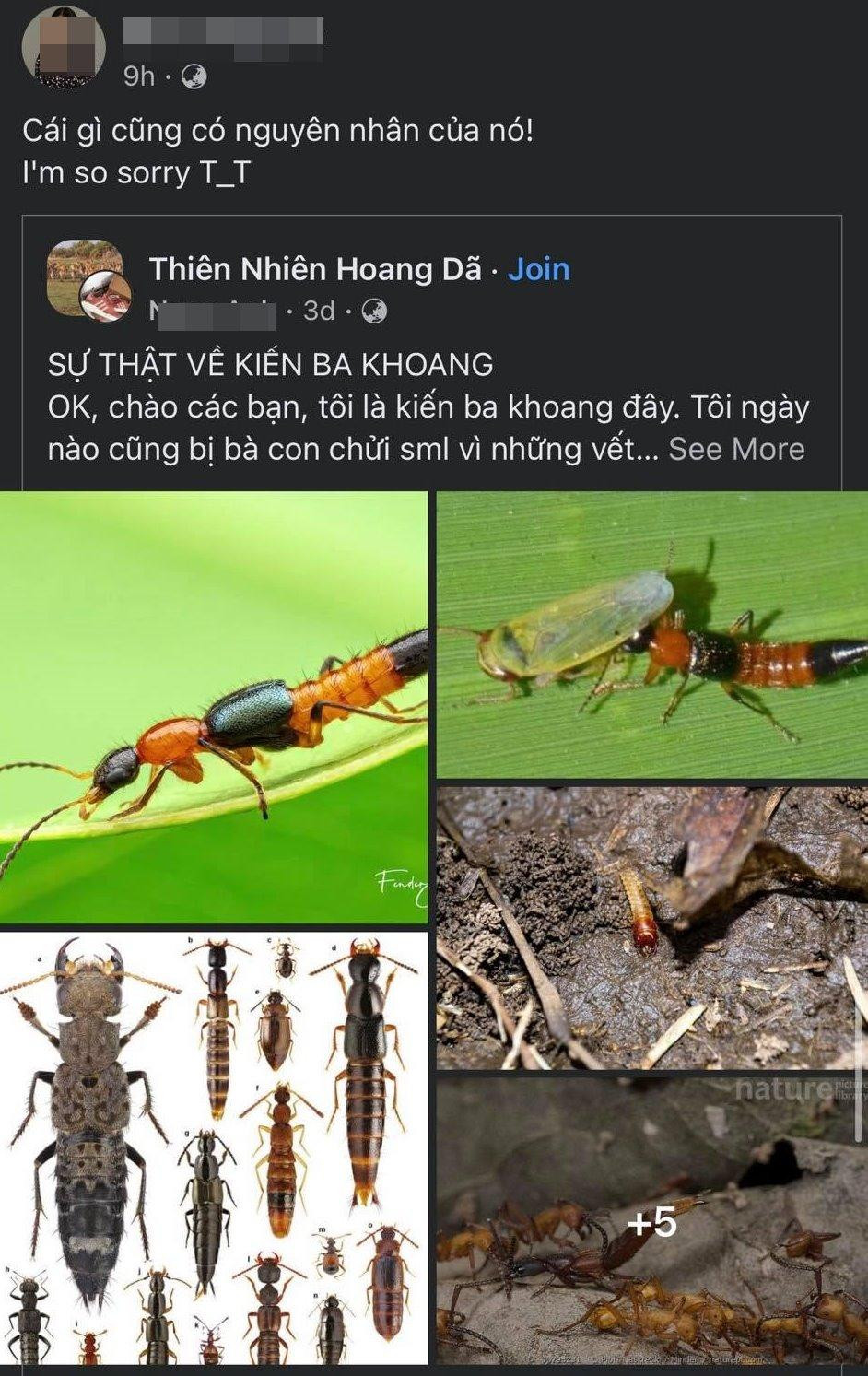 Netizen bấm share vì bài viết dí dỏm, thậm chí là dễ thương khi viết về loài vật bị nhiều người cho là "khó ưa".