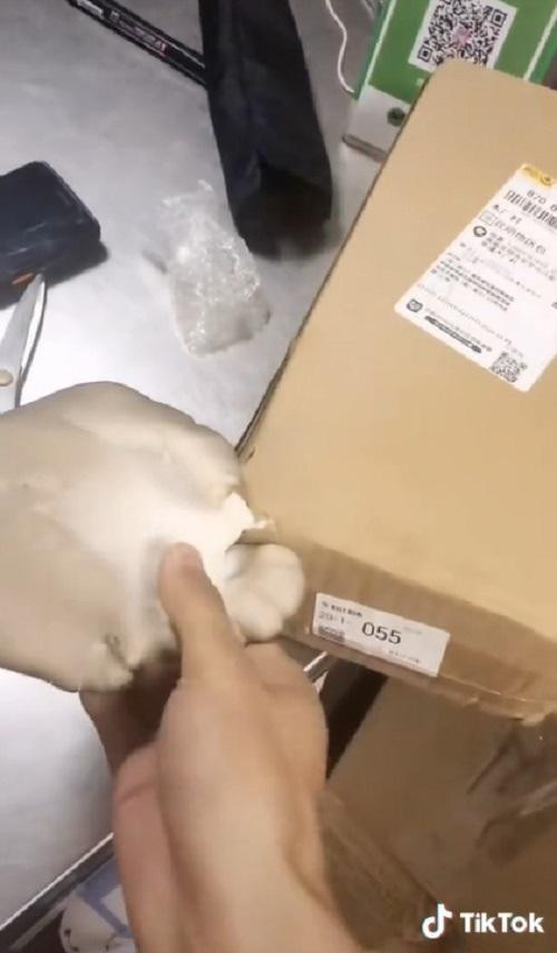 Tới công chuyện luôn, phen này có ngay món nấm xào mà chẳng tốn nhiều công sức. (Nguồn: tianmuxinwen)