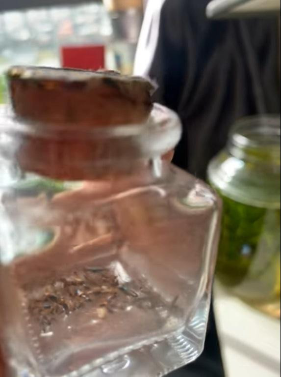 Thời điểm kiến ba khoang "thăm" các chung cư là vào đầu mùa mưa. (Ảnh: Phi Huỳnh)