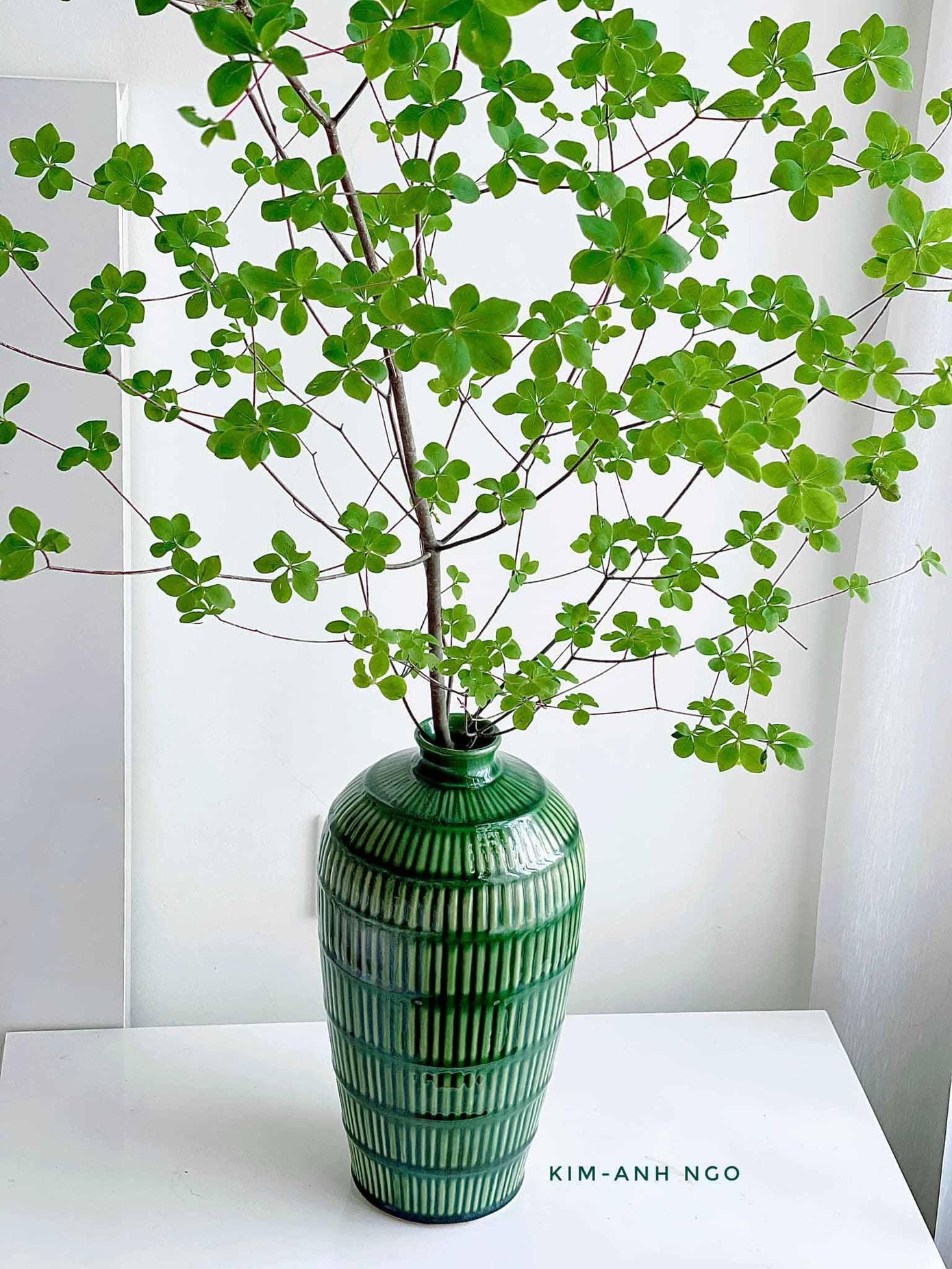 Cành thạch nam được mix & match cùng chiếc bình gốm xanh tạo cảm giác vô cùng mát mắt. (Ảnh: Kim-Anh Ngo) Cành thạch nam được mix & match cùng chiếc bình gốm xanh tạo cảm giác vô cùng mát mắt. (Ảnh: Kim-Anh Ngo)