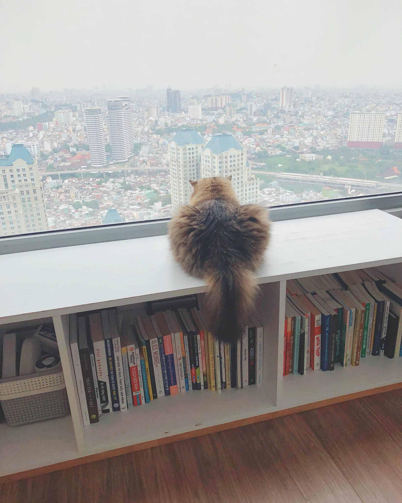 Một góc kệ sách từng được Tiên Cookie chia sẻ trên trang cá nhân.