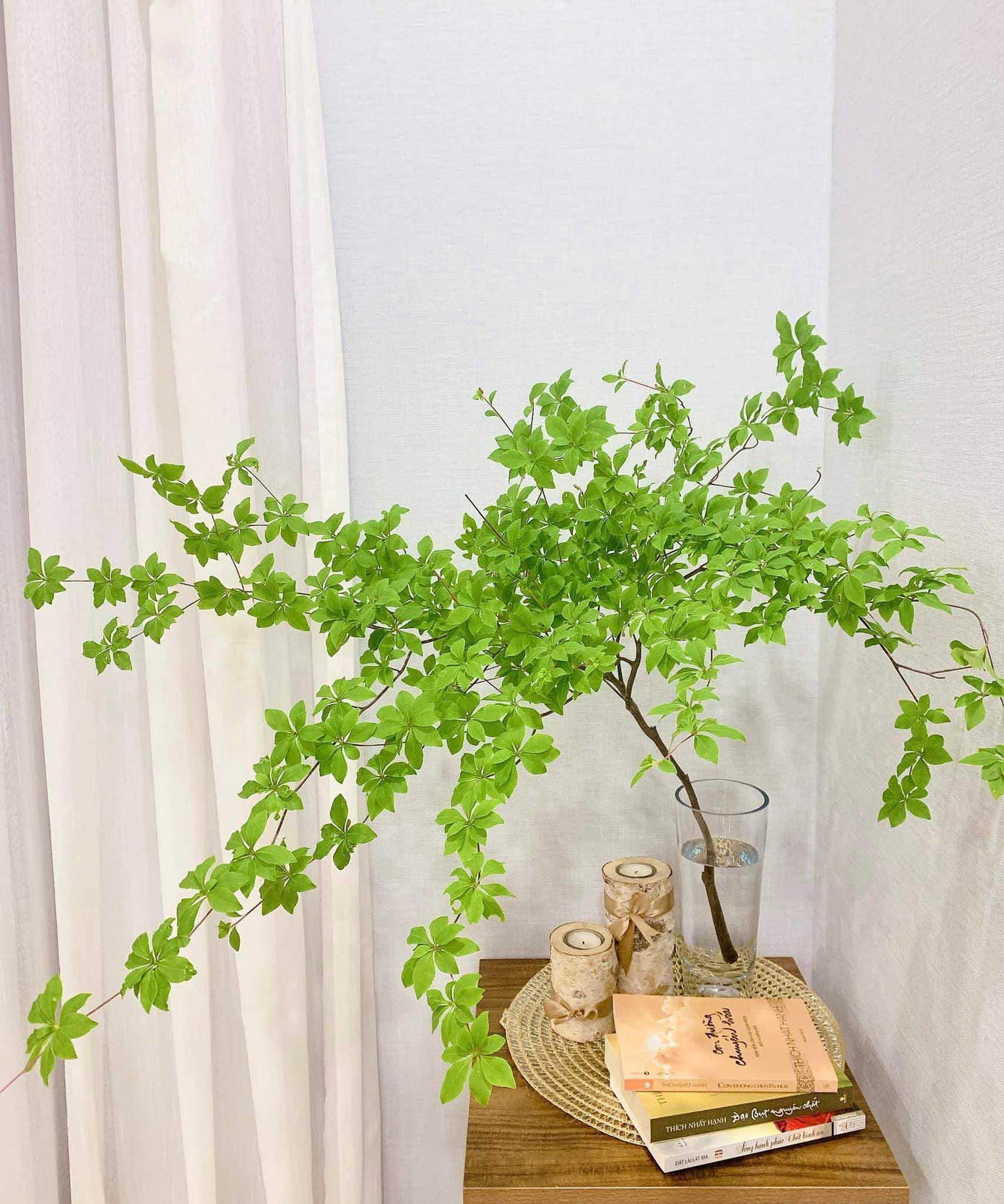 Cành thạch nam vừa giúp décor không gian sống lại lan tỏa năng lương tươi mát. (Ảnh: Nguyen Thu Hanh) Cành thạch nam vừa giúp décor không gian sống lại lan tỏa năng lương tươi mát. (Ảnh: Nguyen Thu Hanh)