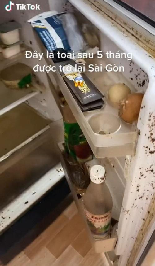 Tủ lạnh bám đầy ẩm mốc, thực phẩm thối rữa do không được bảo quản lạnh. (Nguồn: thanhtuyen310394)