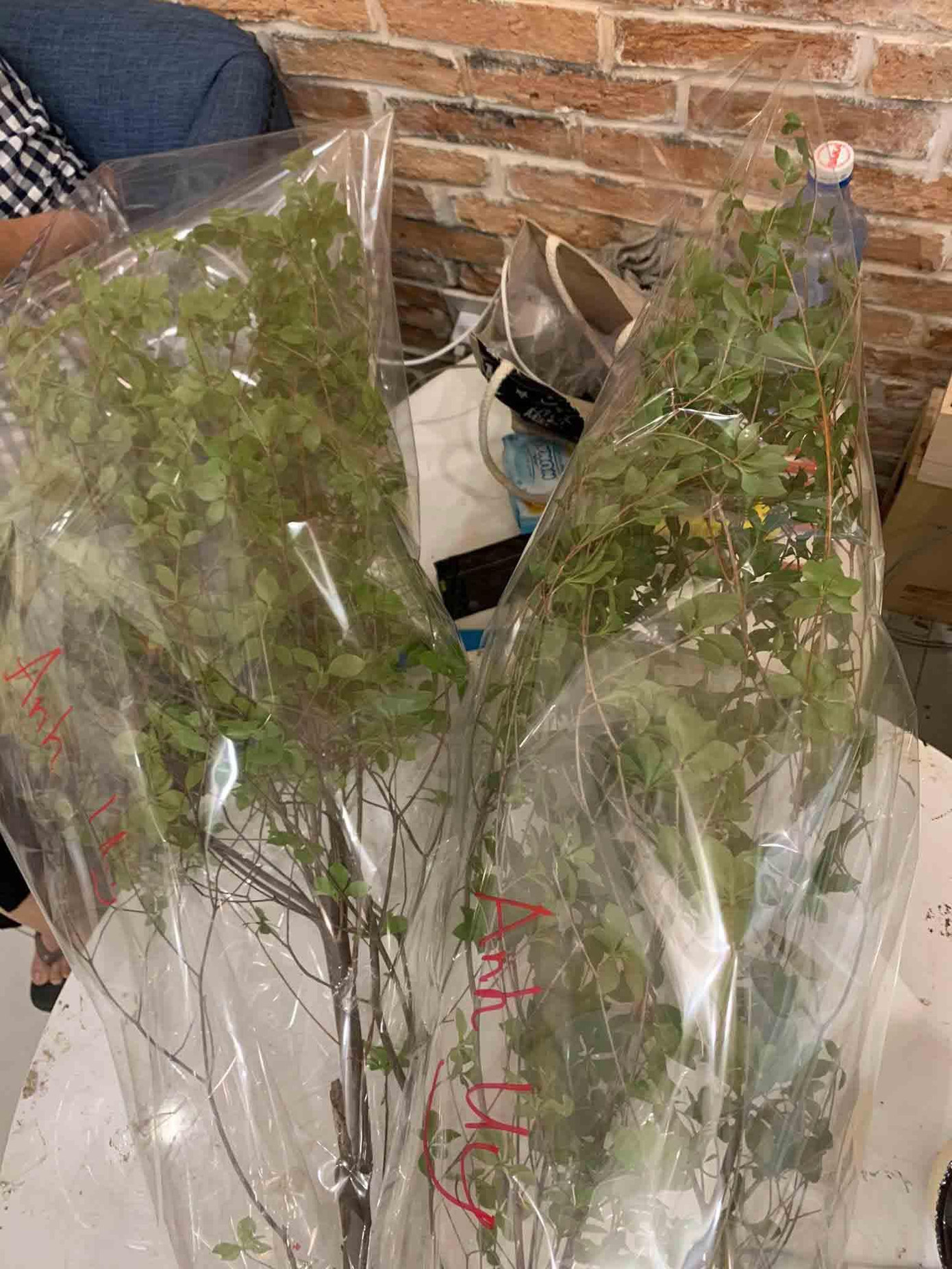 (Ảnh: H.L) (Ảnh: H.L)