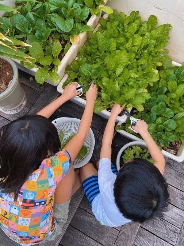 Tăng Thanh Hà giúp các con gần gũi thiên nhiên, hạn chế các thiết bị công nghệ.