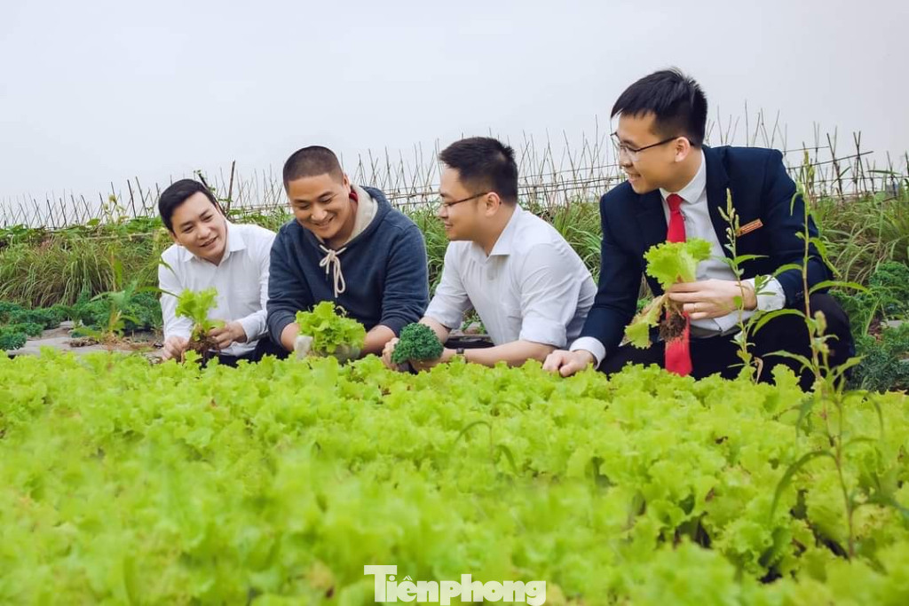 Cán bộ Sở Khoa học và Công nghệ Hưng Yên tham quan mô hình rau hữu cơ của anh Cường. Cán bộ Sở Khoa học và Công nghệ Hưng Yên tham quan mô hình rau hữu cơ của anh Cường.