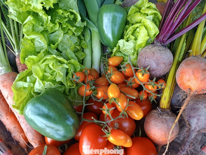 Những sản phẩm rau sạch của Hợp tác xã Nông nghiệp rau củ sạch và dịch vụ Mạnh Cường. Những sản phẩm rau sạch của Hợp tác xã Nông nghiệp rau củ sạch và dịch vụ Mạnh Cường.