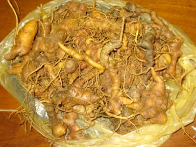 Tang vật vụ án.