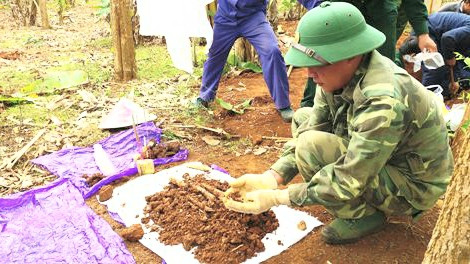 Phát hiện nhiều hài cốt liệt sĩ trong vườn cà phê ở vùng biên ảnh 2