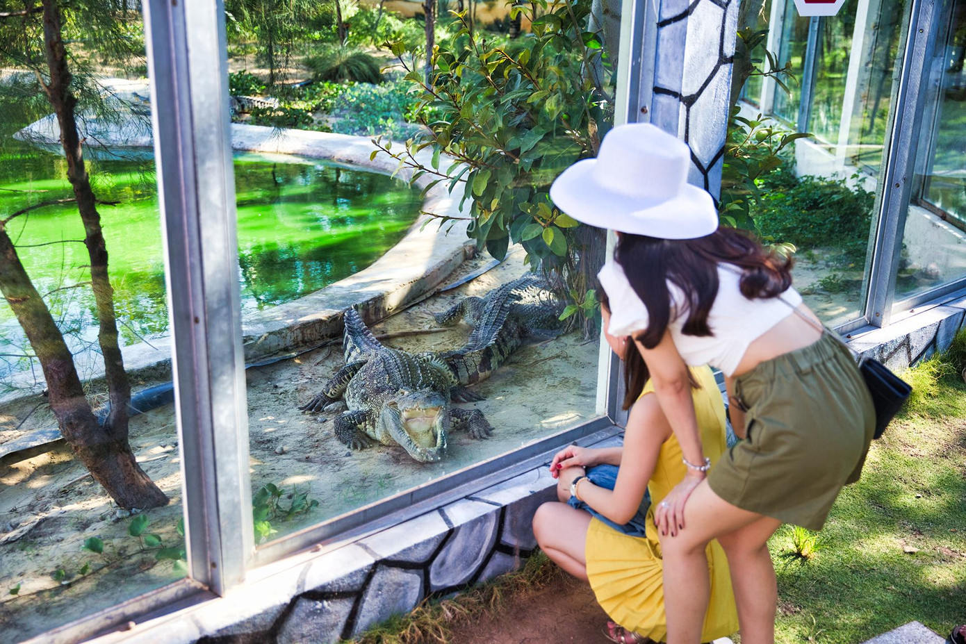 Du khách sẽ được trải nghiệm không gian của thiên nhiên hoang dã, gần gũi và an toàn cho động vật. Du khách sẽ được trải nghiệm không gian của thiên nhiên hoang dã, gần gũi và an toàn cho động vật.