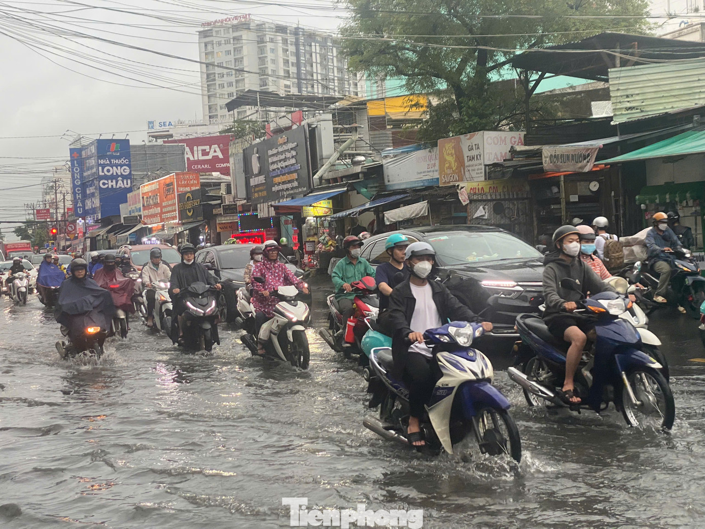 Cơ quan khí tượng dự báo chiều tối và tối nay ngày 16/8, ở khu vực Nam bộ có mưa rào và dông rải rác, cục bộ có nơi mưa to. (Ảnh minh họa) Cơ quan khí tượng dự báo chiều tối và tối nay ngày 16/8, ở khu vực Nam bộ có mưa rào và dông rải rác, cục bộ có nơi mưa to. (Ảnh minh họa)