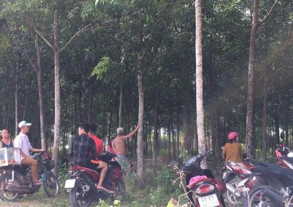 Phát hiện nam thanh niên tử vong trong tư thế treo cổ trong lô cao su ảnh 1