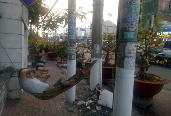 Tiểu thương bán hoa ngày 29 tết: 'Buồn… nẫu ruột' ảnh 10