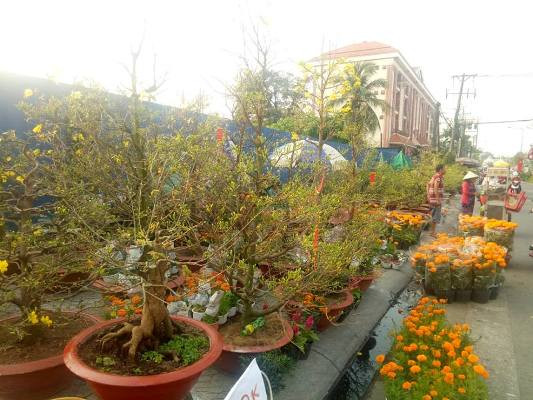 Tiểu thương bán hoa ngày 29 tết: 'Buồn… nẫu ruột' ảnh 4