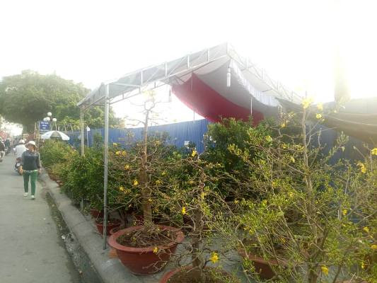 Tiểu thương bán hoa ngày 29 tết: 'Buồn… nẫu ruột' ảnh 3