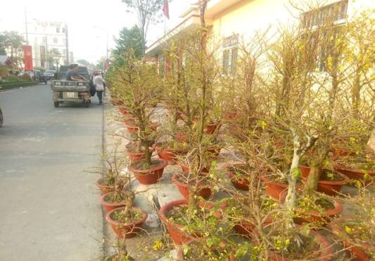 Tiểu thương bán hoa ngày 29 tết: 'Buồn… nẫu ruột' ảnh 7