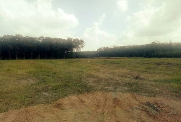 Tự vẽ dự án rồi 'bắt tay nhau' phân lô bán nền rầm rộ ảnh 2