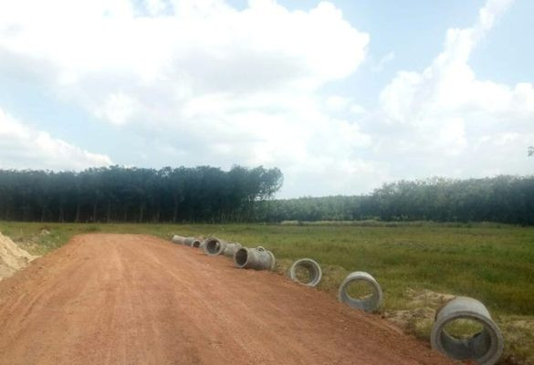 Tự vẽ dự án rồi 'bắt tay nhau' phân lô bán nền rầm rộ ảnh 4