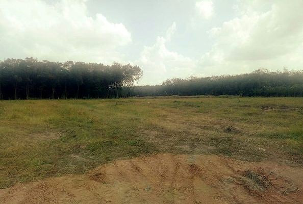 Bình Dương chấn chỉnh tình trạng bát nháo phân lô, bán nền ảnh 3