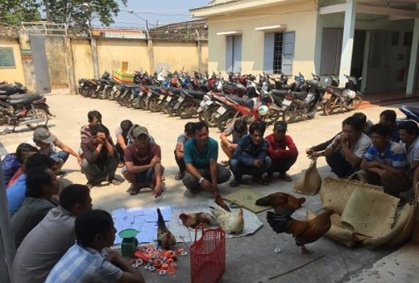 Phá tụ điểm đánh bạc trong vườn cao su ảnh 1