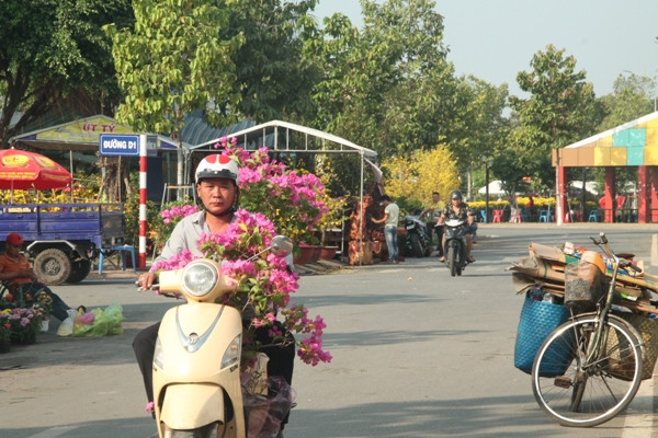 Người dân chen nhau mua hoa kiểng xả hàng ngày 30 Tết ảnh 8