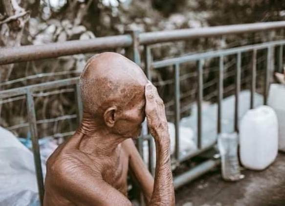 Cụ ông 85 tuổi và gánh hoa sen ấn tượng chiều 30 tết ảnh 4