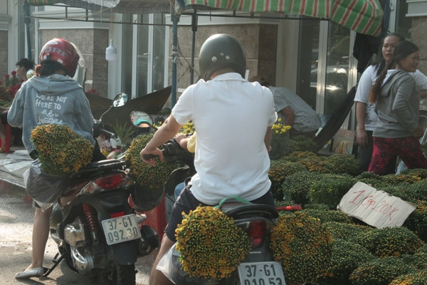 Người dân chen nhau mua hoa kiểng xả hàng ngày 30 Tết ảnh 4