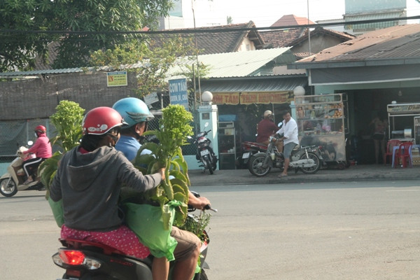 Người dân chen nhau mua hoa kiểng xả hàng ngày 30 Tết ảnh 10