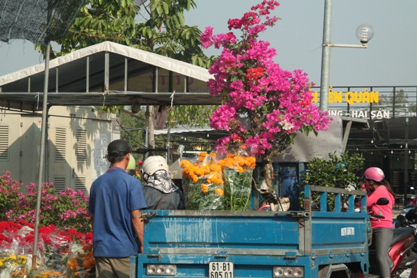 Người dân chen nhau mua hoa kiểng xả hàng ngày 30 Tết ảnh 9
