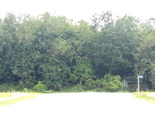 Cận cảnh khu đất khiến cựu Giám đốc sở Tài nguyên Bình Dương bị truy tố ảnh 7